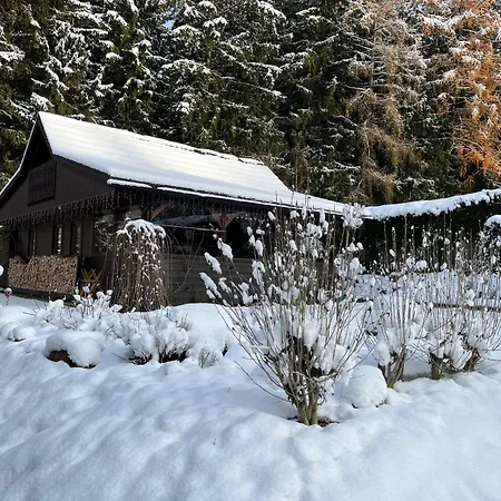 Near Krkonoše National Park